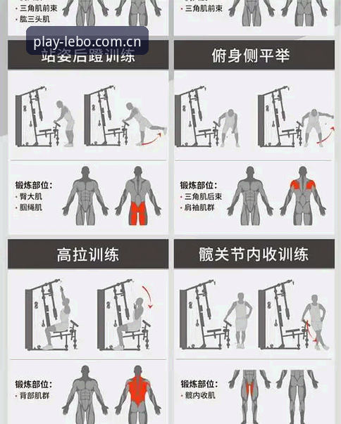 乐宝体育一键直达功能深度解析